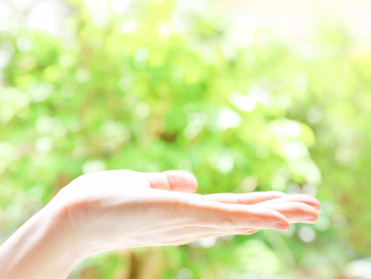 私たちについて画像